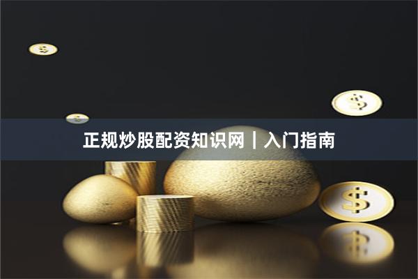正规炒股配资知识网｜入门指南
