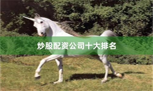 炒股配资公司十大排名